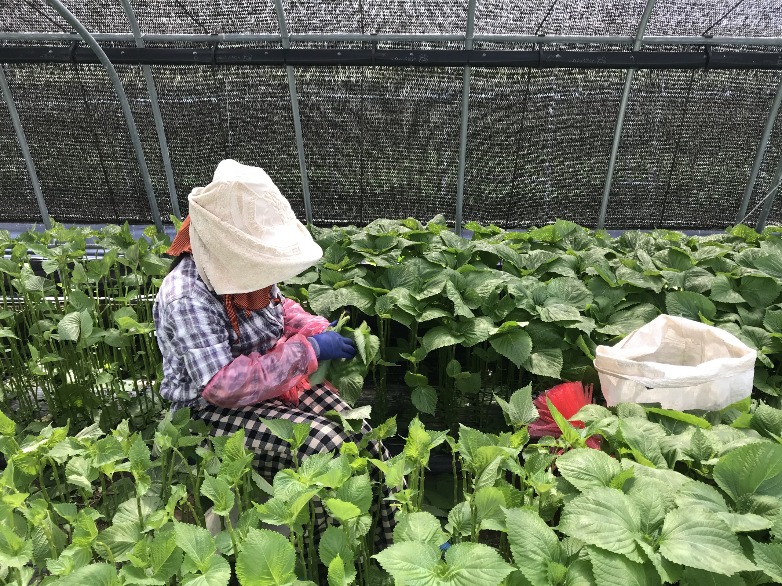 일하다가 죽으러 온 사람도, 공짜노동을 하고 싶은 사람도 없다 썸네일 이미지