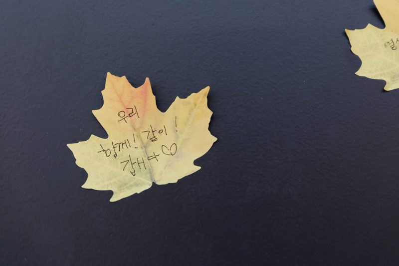 ‘기부자 없이는 우리도 존재할 수 없으니까’ 기부자 소통을 맡고 있는 비영리단체 실무자 4인의 이야기 썸네일 이미지