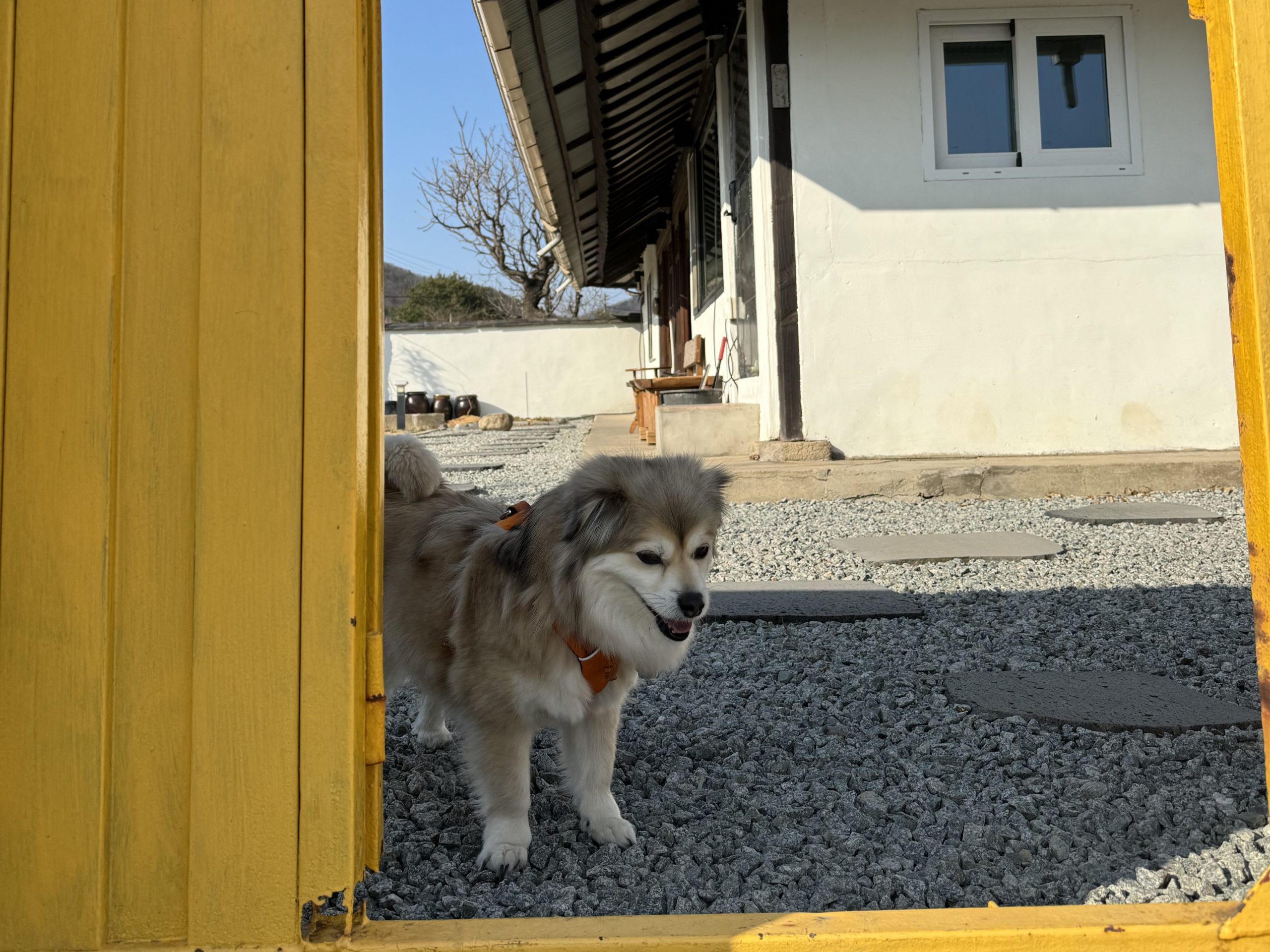 🏠아름다운재단이 청년들의 ‘진짜 집’을 이야기하는 이유 썸네일 이미지