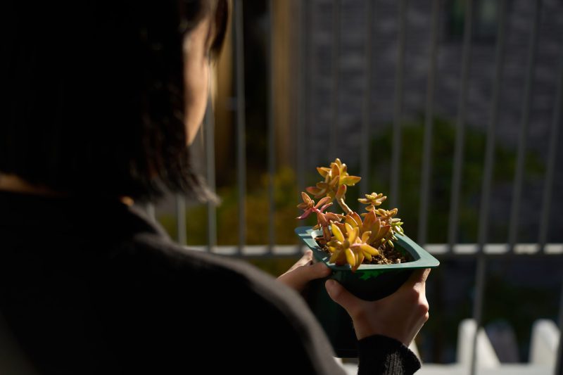 “타투와 헤어질 결심, 지원사업을 통해 이뤘어요” – 2024 청년 생활안정 지원사업 김수지 씨 썸네일 이미지