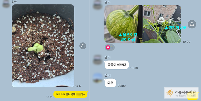 카카오톡 메신저 대화 내용을 캡쳐한 이미지입니다. 엄마가 콩싹이 나온 이미지를 전송해 보여주고 있습니다.