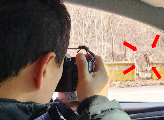 영국엔 셜록, 설악산엔 이 사람🕵🏻 썸네일 이미지