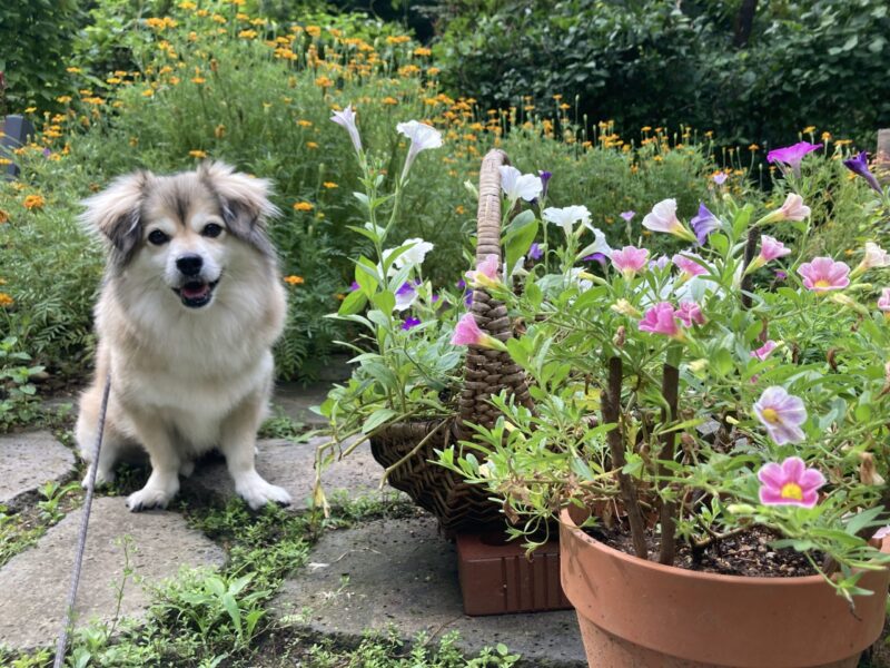 사회문제에 관심을 가져야 하는 3가지 이유 썸네일 이미지