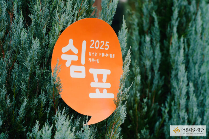 먼저 자립해본 선배와 함께, 오늘도 자란다 썸네일 이미지