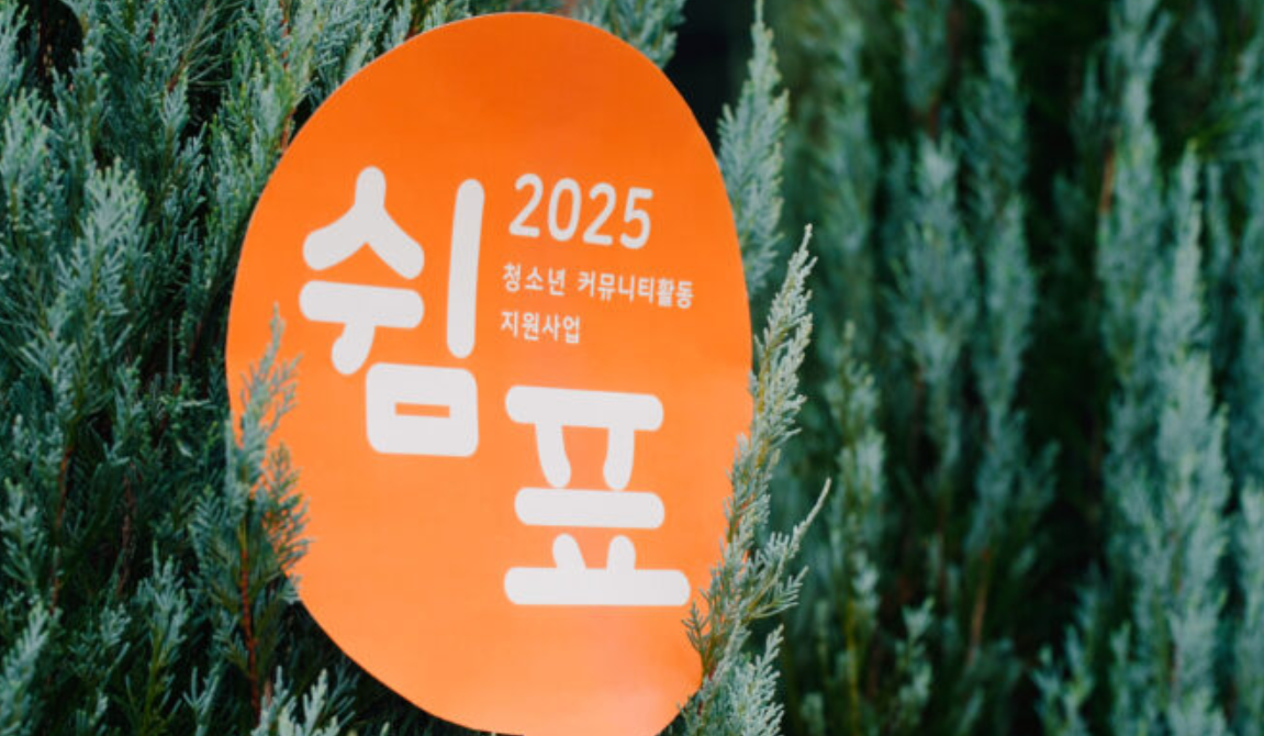 먼저 자립해본 선배와 함께, 오늘도 자란다 썸네일 이미지