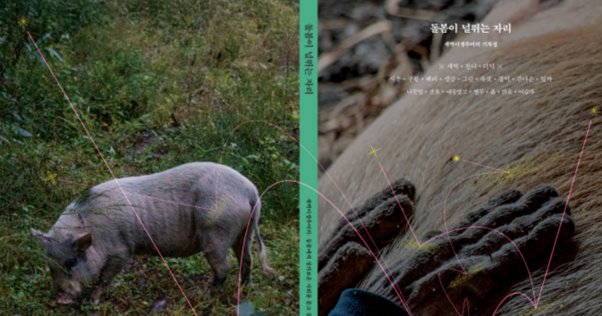 돌봄이 널뛰는 자리, 새벽이생추어리 썸네일 이미지