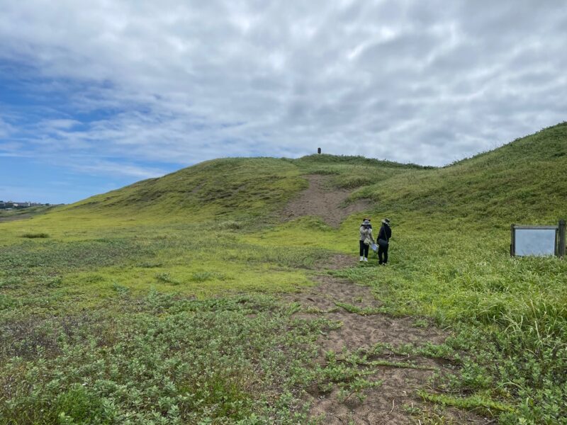 바람과 화산이 만든 제주 해안사구, 기록과 보전의 시작 썸네일 이미지