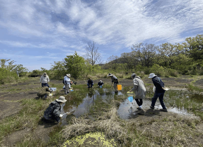 용암이 빚은 제주의 습지를 말하다 썸네일 이미지