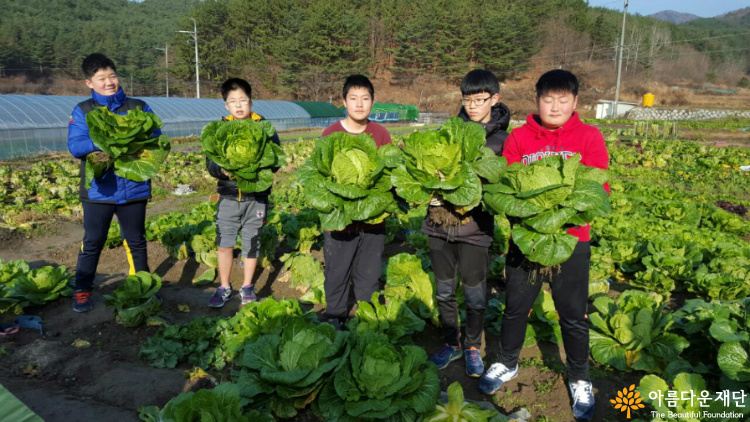 아이들이 직접 기르고 수확한 배추로 김장을 하여 장애인과 노숙인, 독거어르신들께 전달 할 계획이다.